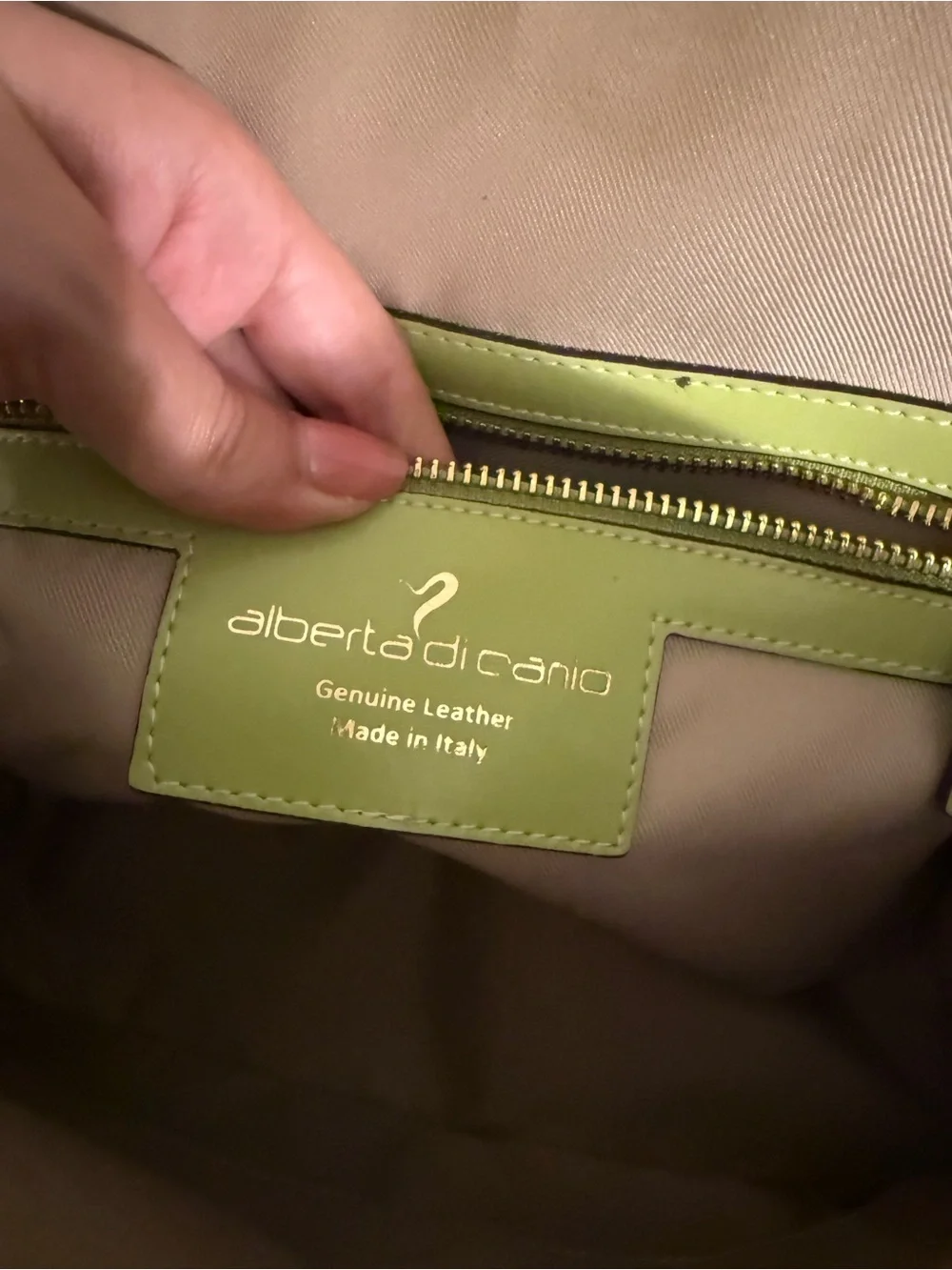 Alberta Di Canio Granny Smith Apple Green Dome Satchel